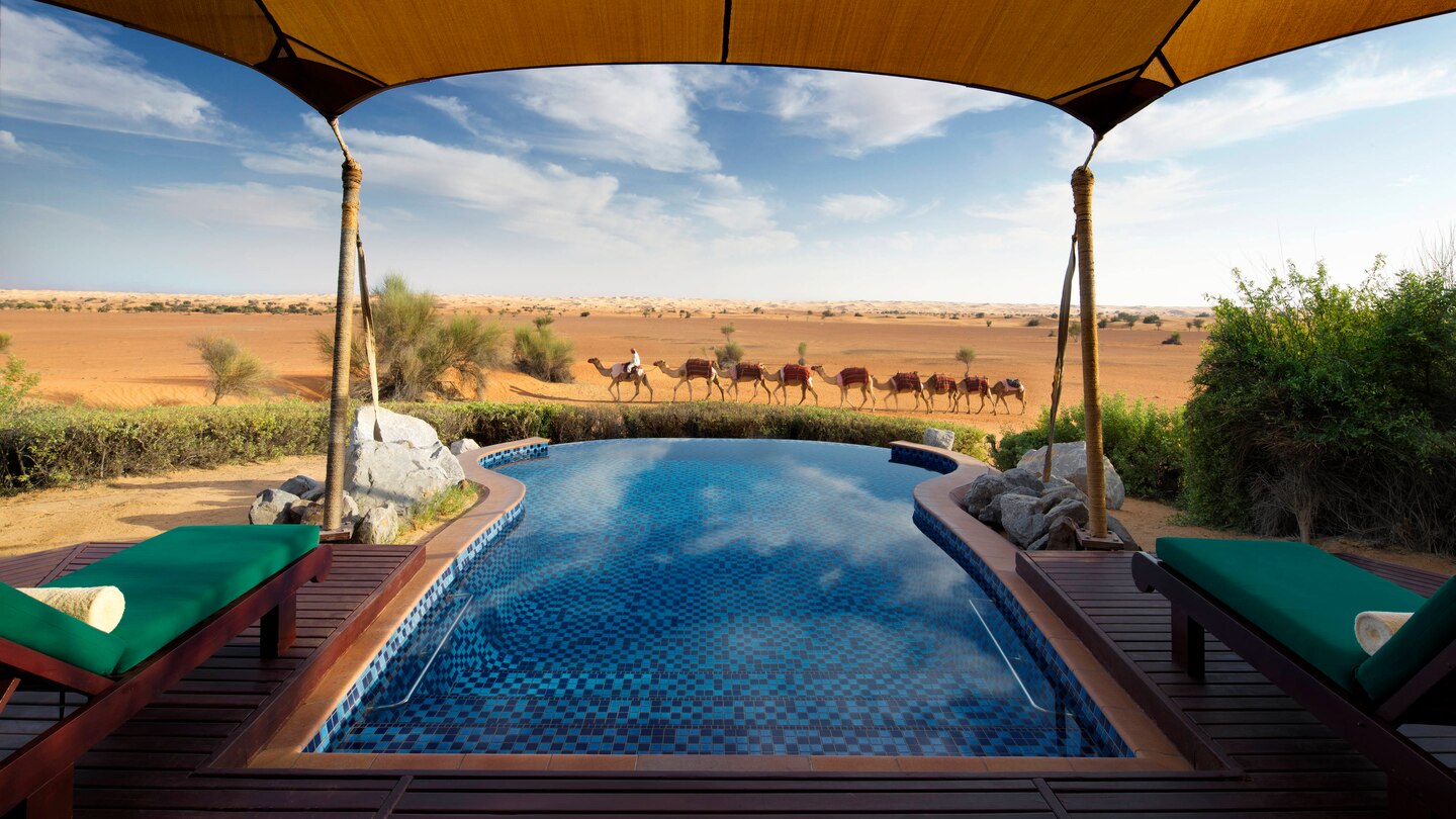 a pool with camels in the background